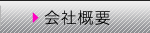 ЊTv
